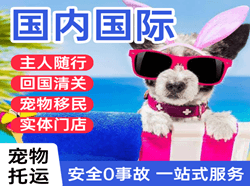 合肥航空快递国际宠物托运 【国